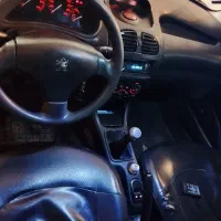 206تمام رنگ شاسی پلمپ