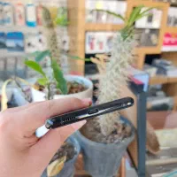 سامسونگ Galaxy S21 Plus 5G حافظه ۲۵۶ گیگ رم ۸|موبایل|یزد, |دیوار