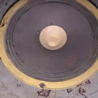 میدرنج سایز ۸