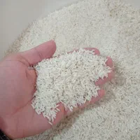 مشارکت در فروش