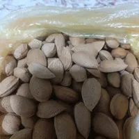 بادام تازه و شیرین