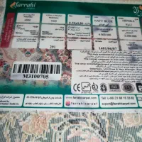 پادری مخمل تدی لاین|پادری|پاکدشت, پاکدشت (مامازند)|دیوار