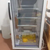 دستگاه جوجه کشی