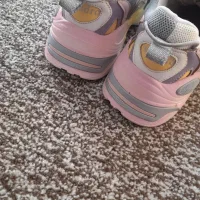 چندمدل کفش|کیف، کفش، کمربند|یاسوج, |دیوار