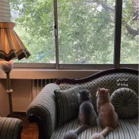 ویلایی-2طبقه-طاهرزاده