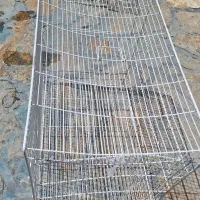 قفس پرنده نو