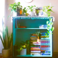باکس کتاب گنجه‌ی کتاب کتابخونه چوبی فروش فوری