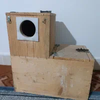 لانه ال شکل  طوطی ملنگو