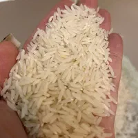 برنج هاشمی درجه یک کشاورز بدون قاطی