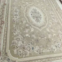 دوعدد قالی ۵۰۰شانه سالم