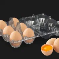 فروش عمده ظروف شانه تخم مرغی