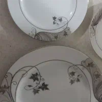 چینی سالم|ظروف سرو و پذیرایی|همدان, |دیوار