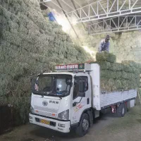 یونجه درجه یک|خدمات باغبانی و درختکاری|شازند, |دیوار