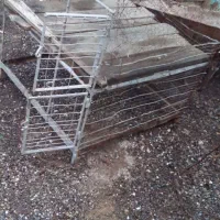 تور مرغ و کبوتر