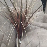 گلدان دکوری|گل و گیاه طبیعی|مشهد, میعاد (شهرک غرب)|دیوار