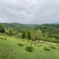 زمین روستایی (1500متری کوهپایه)  در شهرستان سیاهکل|فروش زمین و ملک کلنگی|رشت, گیل|دیوار