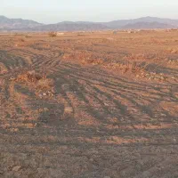 زمین|فروش زمین و ملک کلنگی|سبزوار, کراب|دیوار