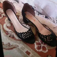 کفش زنانه|کیف، کفش، کمربند|اردبیل, |دیوار