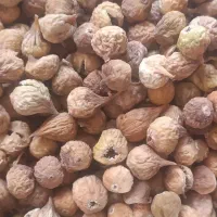 انجیر ومویز سیاه|خوردنی و آشامیدنی|شیراز, شهرک مدرس|دیوار