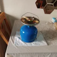 پیکنیک نو