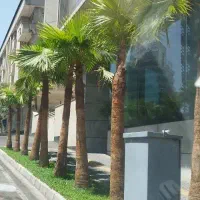 کار در خونه  انجام میدم