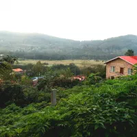 زمین مسکونی باغی ششصد متری توشی ویو ابدی|فروش زمین و ملک کلنگی|سیاهکل, |دیوار