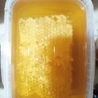 فروش عسل|خوردنی و آشامیدنی|تهران, آرژانتین|دیوار