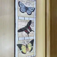 قاب پروانه