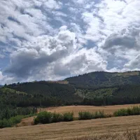 راهنمایی