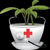 اجاره پروانه گیاه پزشکی و سم فروشی