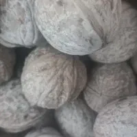 گردو‌به‌شرط