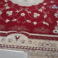 فرش|فرش|چناران, |دیوار