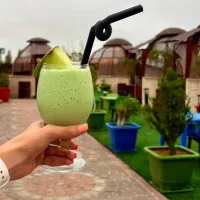 سالنکار