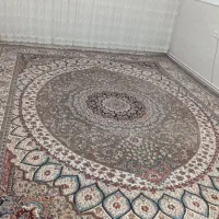 فروش دو عدد فرش|فرش|ساوه, |دیوار
