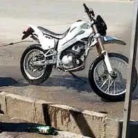 تریل روان اصلی