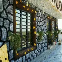 پلاسترنمایی