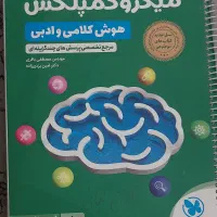میکروکمپلکس. هوش کلامی و ادبی