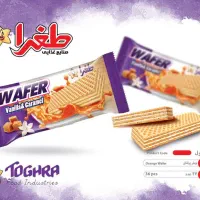 استخدام ویزیتور