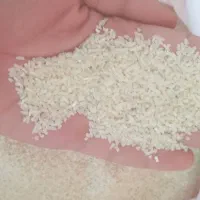 نیم دانه هاشمی درجه یک تضمینی