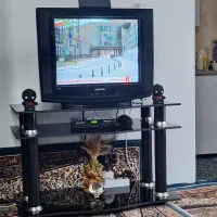 تلویزیون