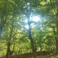 آپارتمان فروشی