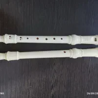 فلوت yamaha|سازهای بادی|شیراز, شهرک فرهنگیان|دیوار