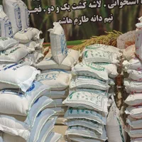 برنج شمال جهت مراسم|استخدام بازاریابی و فروش|اصفهان, ملاصدرا|دیوار