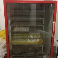 تخم شراکتی دستگاه جوجه کشی