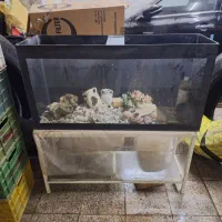 اکواریوم با پایه|ماهی|مشهد, نظام دوست|دیوار