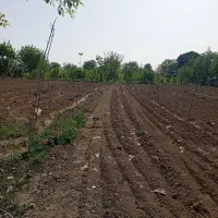 300مترنقلی-عرصه-اعیان-تپه-باستانی-نظام-آباد-لوکیشن