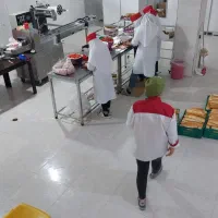 استخدام کارگاه ساندویچ سرد