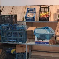 قفسه میوه و میز سبزی