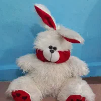 خرگوش