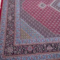 فرس ۱۲متری|فرش|قائم‌شهر, |دیوار